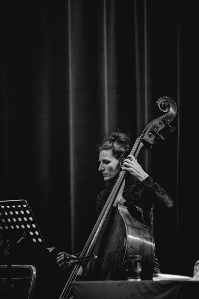 Maria Hofstätter & Linzer Geiger Trio Weilling Land und Leute - ein Bauernroman