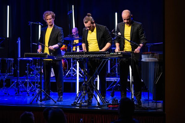 Louie`s Cage percussion PURE