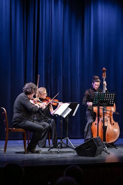 Maria Hofstätter & Linzer Geiger Trio Weilling Land und Leute - ein Bauernroman