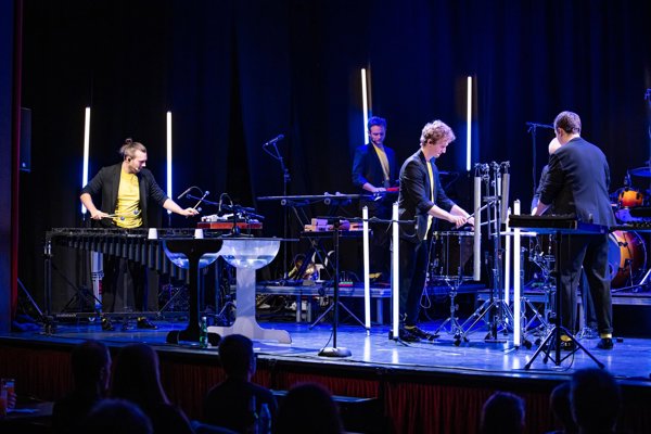 Louie`s Cage percussion PURE