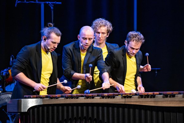 Louie`s Cage percussion PURE