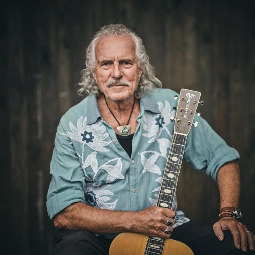 Hans Theessink