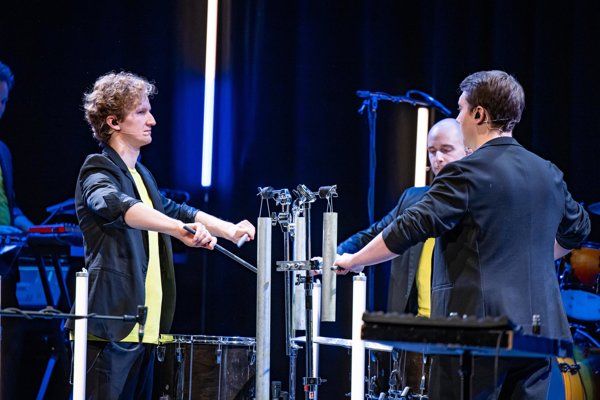 Louie`s Cage percussion PURE