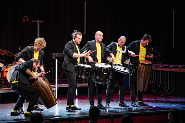Louie`s Cage percussion PURE